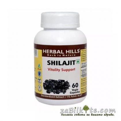 shilajit shilajit